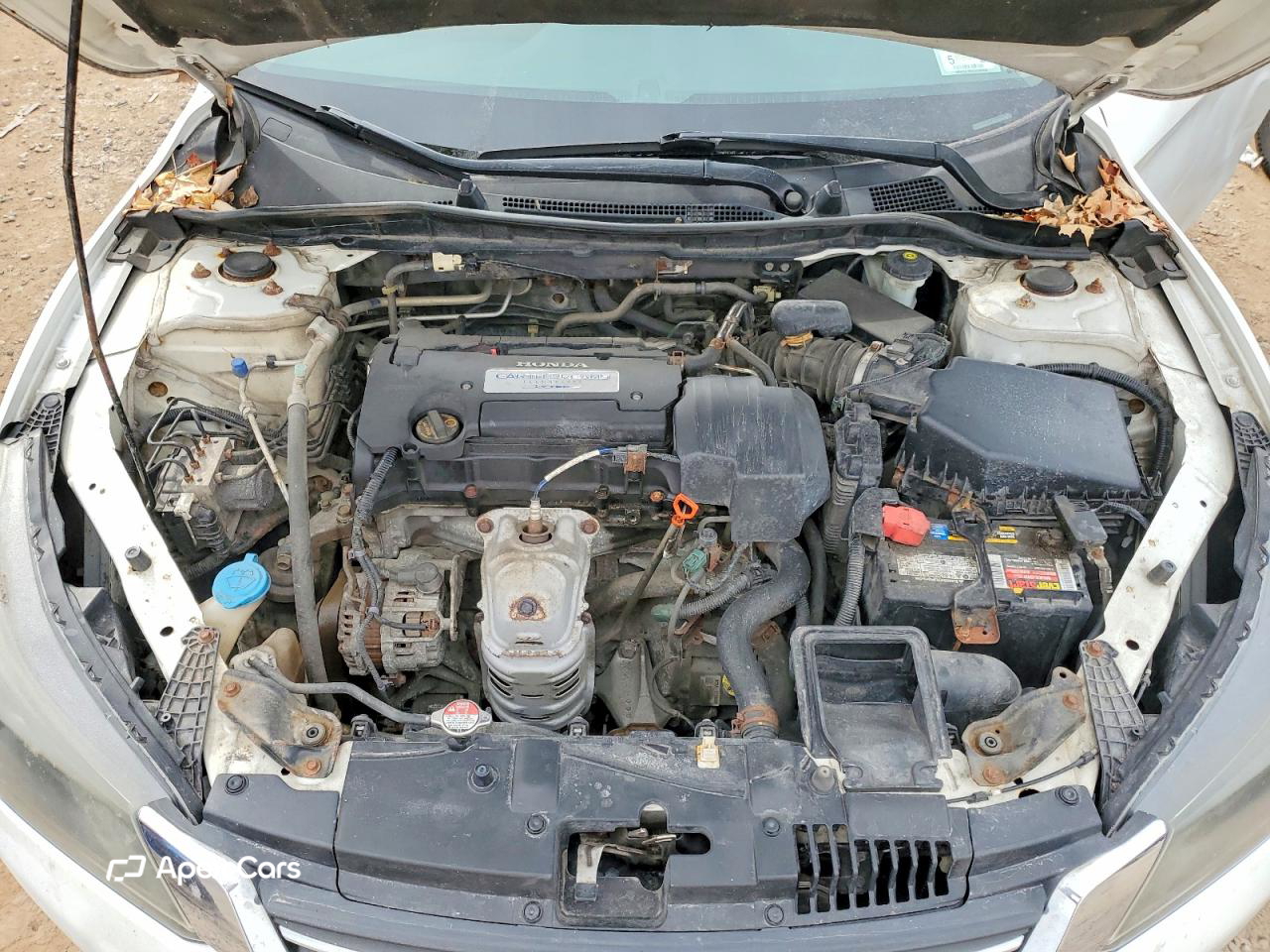 Honda Accord 2013