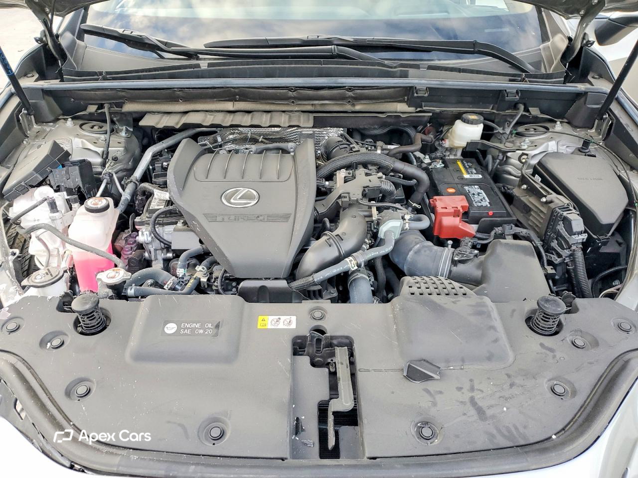 Lexus NX 2024