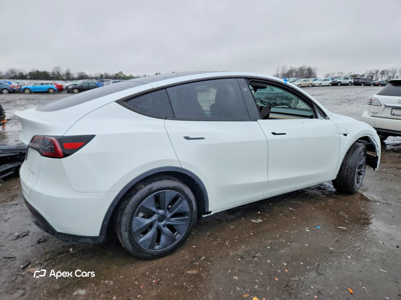 Tesla Model Y 2024