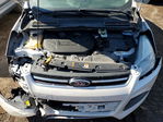 Ford Escape 2014