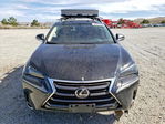 Lexus NX 2017