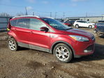 Ford Escape 2015