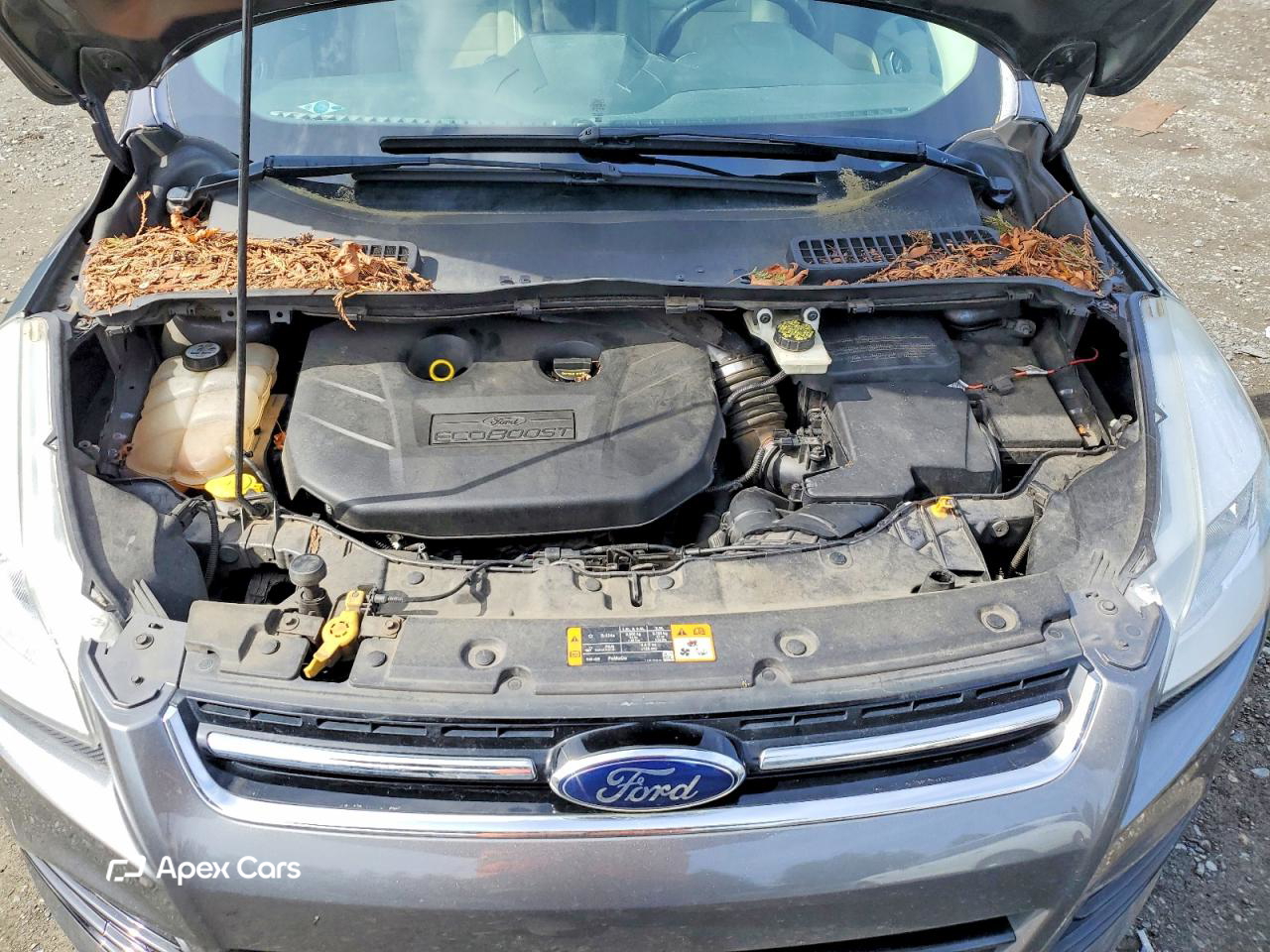 Ford Escape 2013