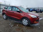 Ford Escape 2016