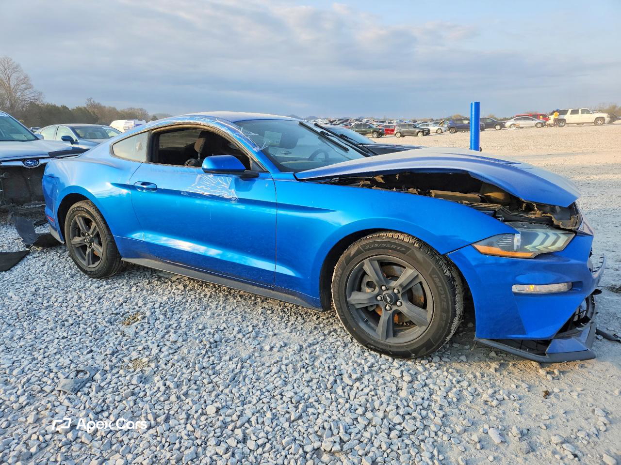 Ford Mustang 2019