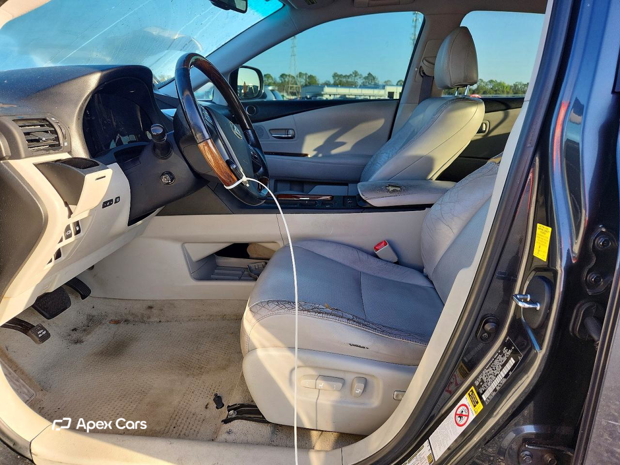 Lexus RX 2010