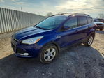 Ford Escape 2013
