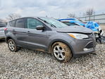 Ford Escape 2013
