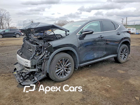 Lexus NX 2023 - Image 1 of 15