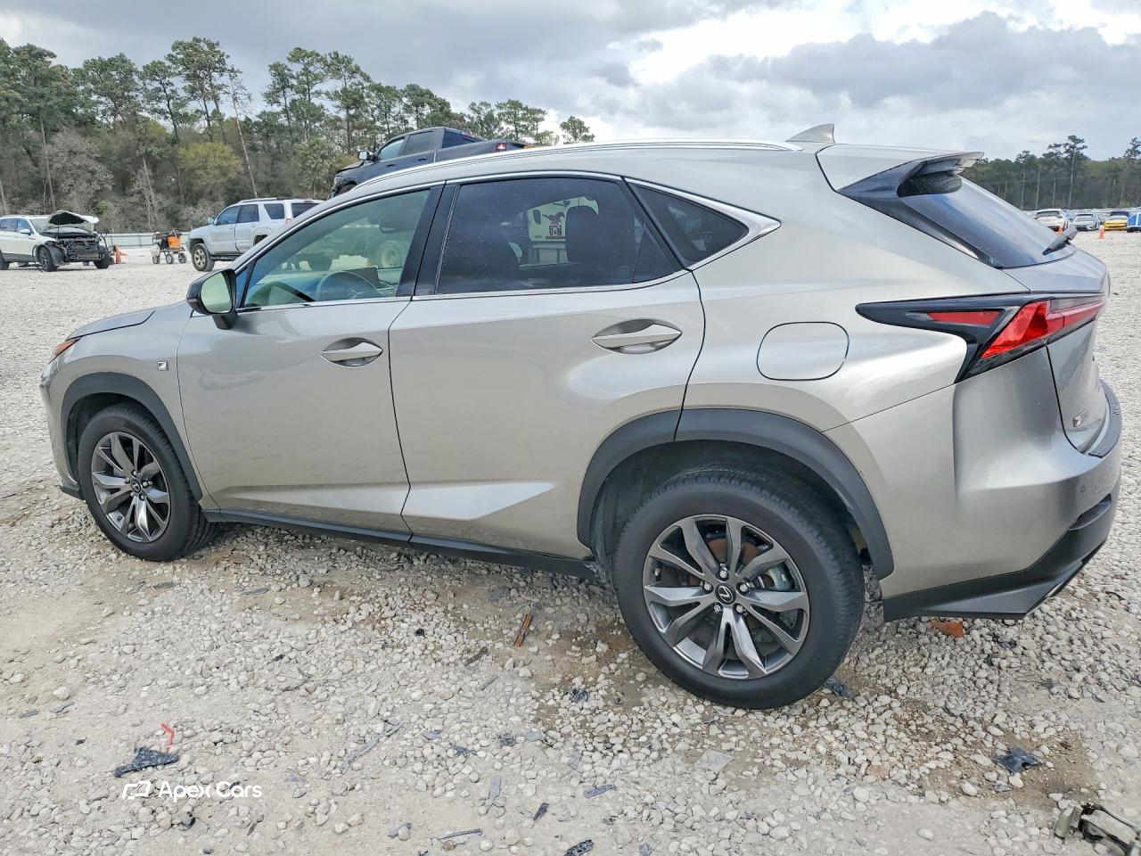 Lexus NX 2020