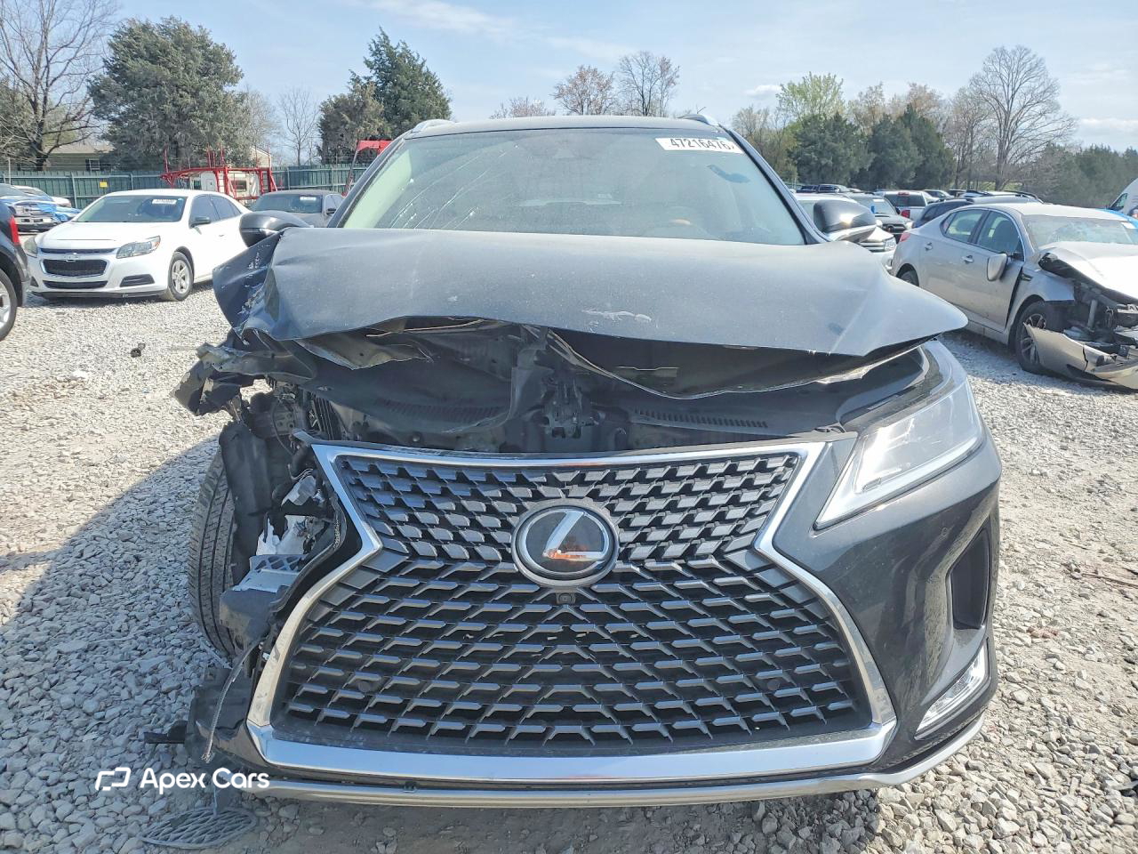 Lexus RX 2022