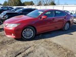 Lexus ES 2014