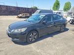 Honda Accord 2013