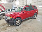 Ford Escape 2011