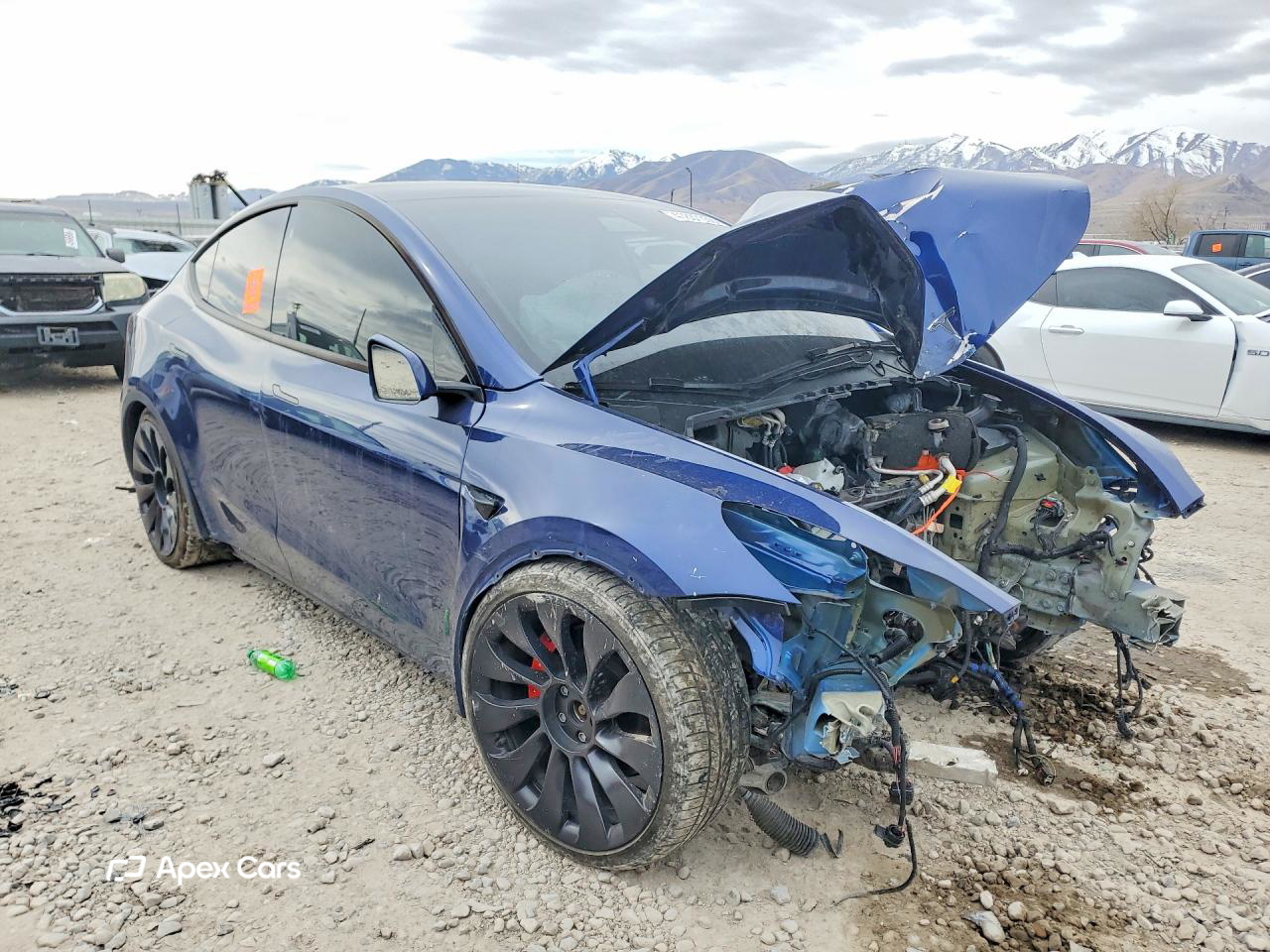 Tesla Model Y 2022