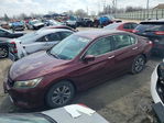 Honda Accord 2013