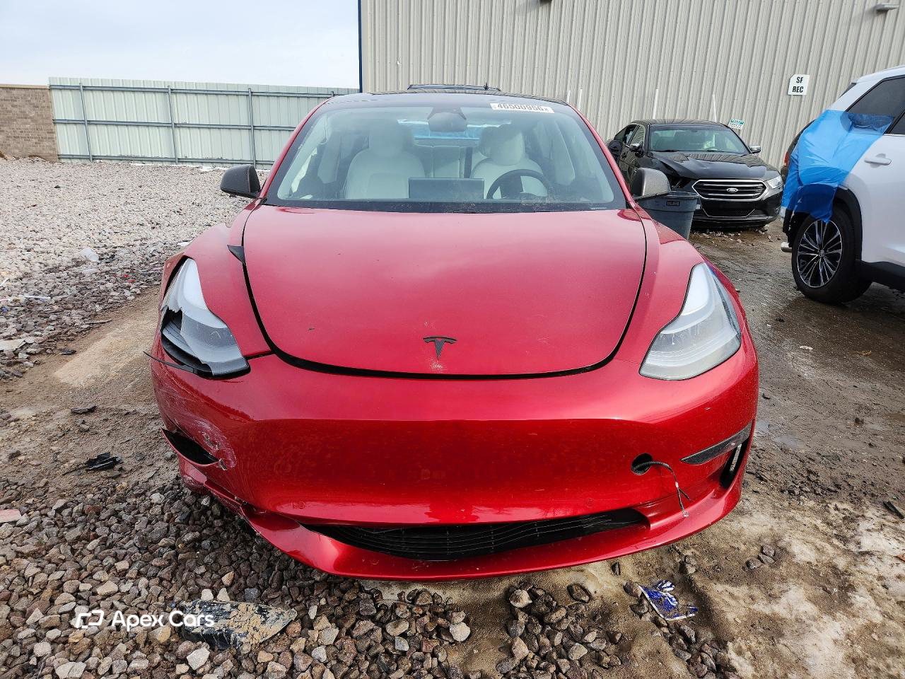 Tesla Model 3 2021