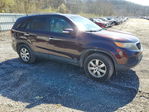 Kia Sorento 2011