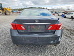 Lexus ES 2007
