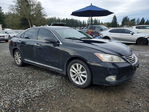 Lexus ES 2010