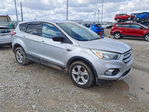 Ford Escape 2019