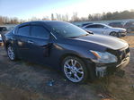 Nissan Maxima 2013