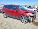 Ford Escape 2016