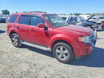 Ford Escape 2011