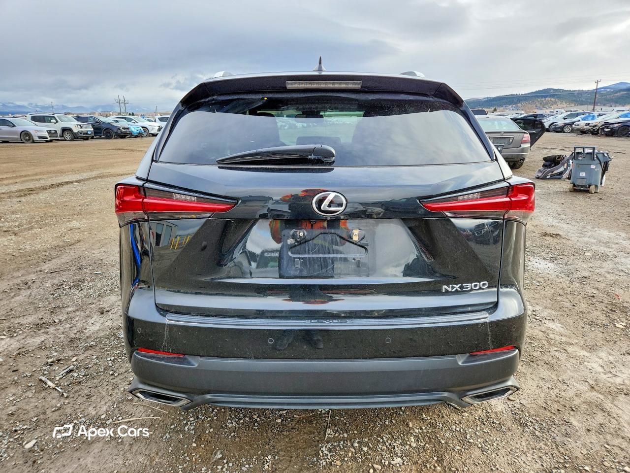 Lexus NX 2018
