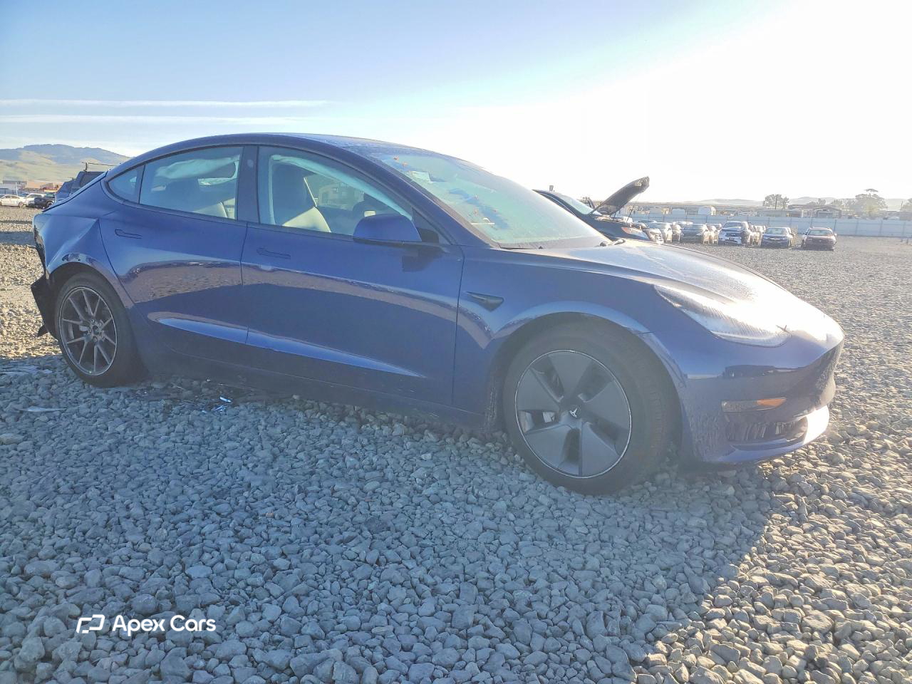 Tesla Model 3 2021