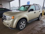 Ford Escape 2012