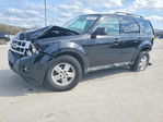 Ford Escape 2012