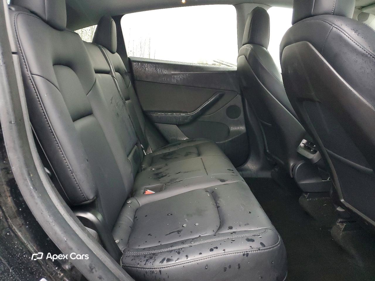 Tesla Model Y 2020