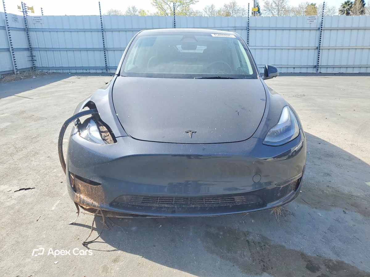 Tesla Model Y 2025
