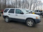 Ford Escape 2004