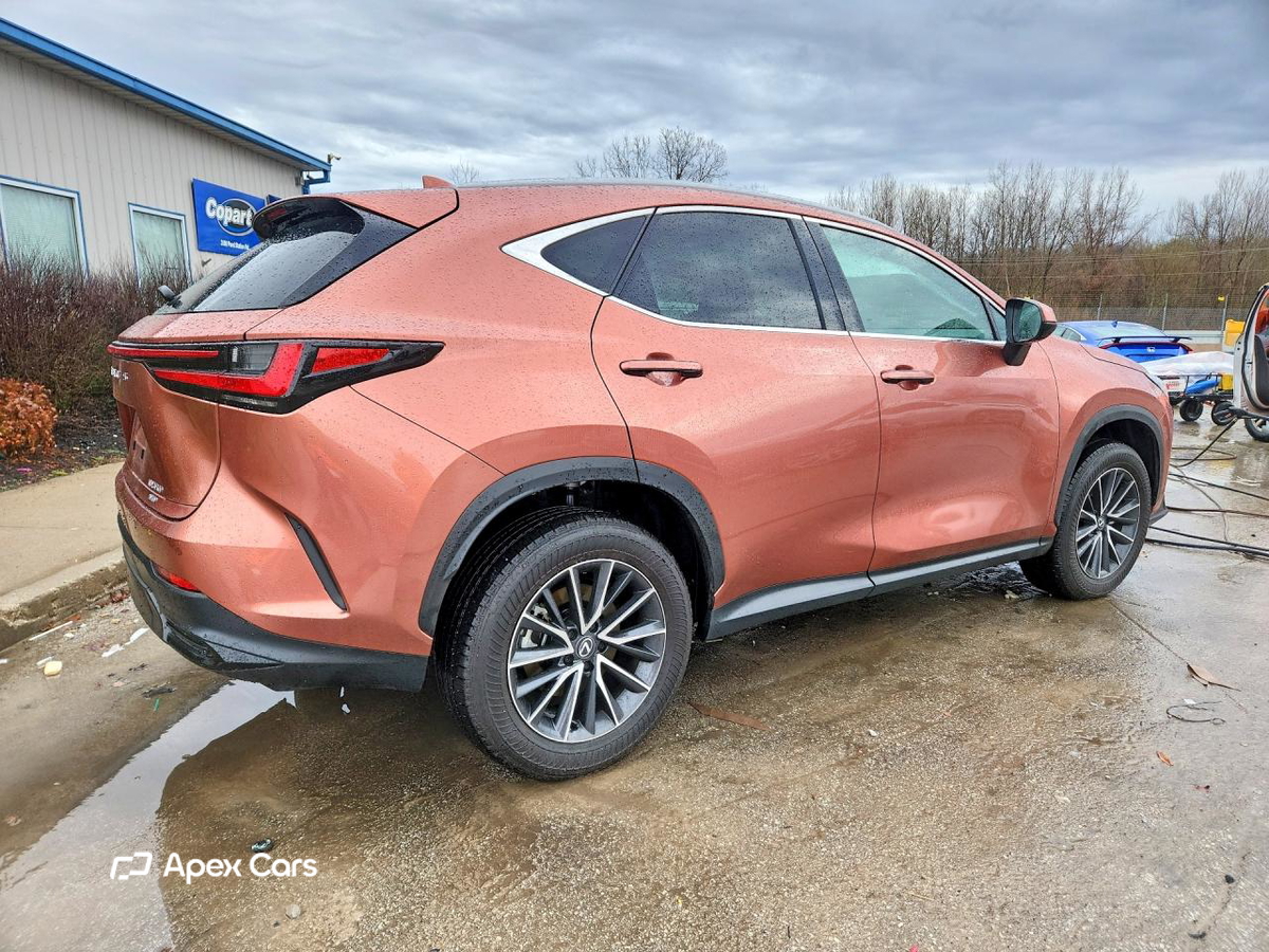 Lexus NX 2025