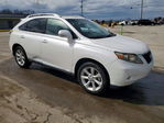 Lexus RX 2010