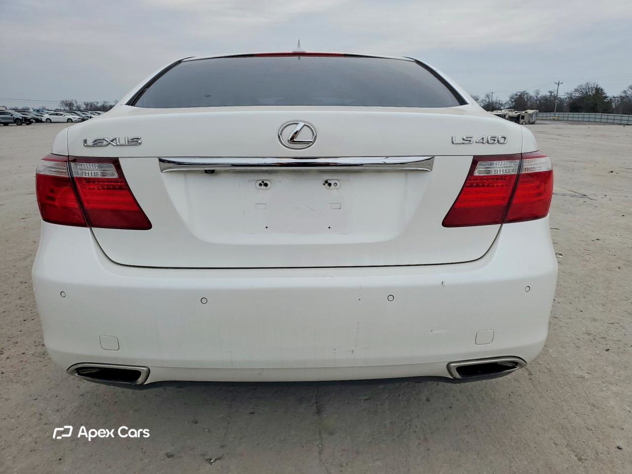 Lexus LS 2008