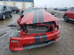 Ford Mustang 2008