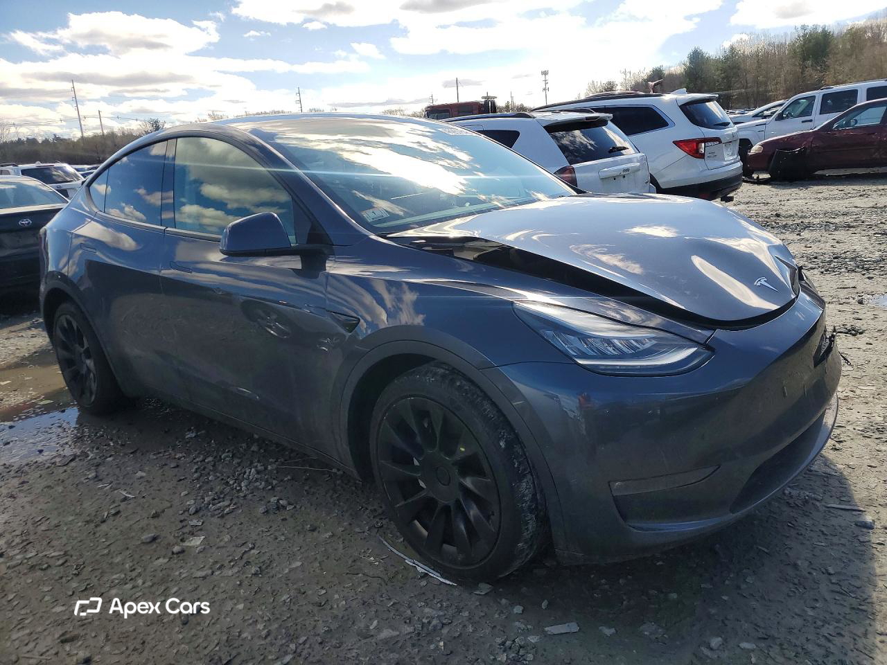 Tesla Model Y 2021