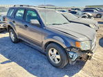 Ford Escape 2011