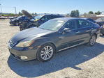 Lexus ES 2011
