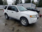 Ford Escape 2009