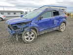 Ford Escape 2015