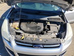 Ford Escape 2013
