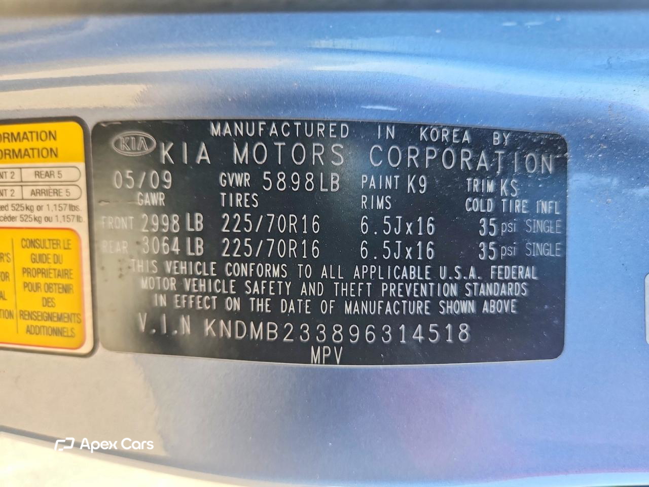 Kia Sedona 2009