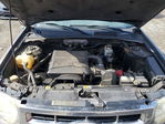Ford Escape 2009