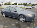 Nissan Maxima 2007
