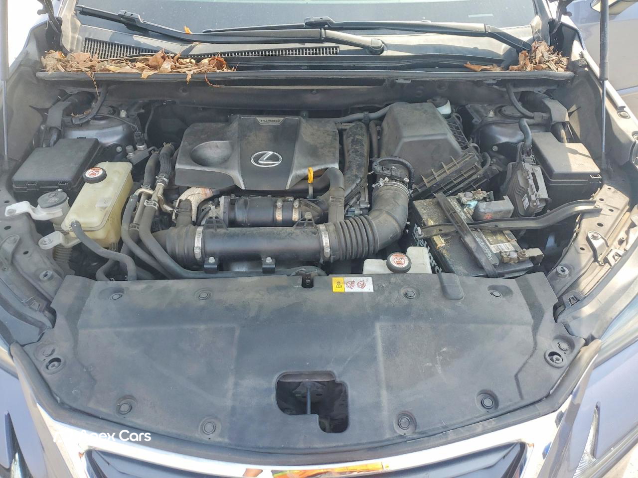 Lexus NX 2016