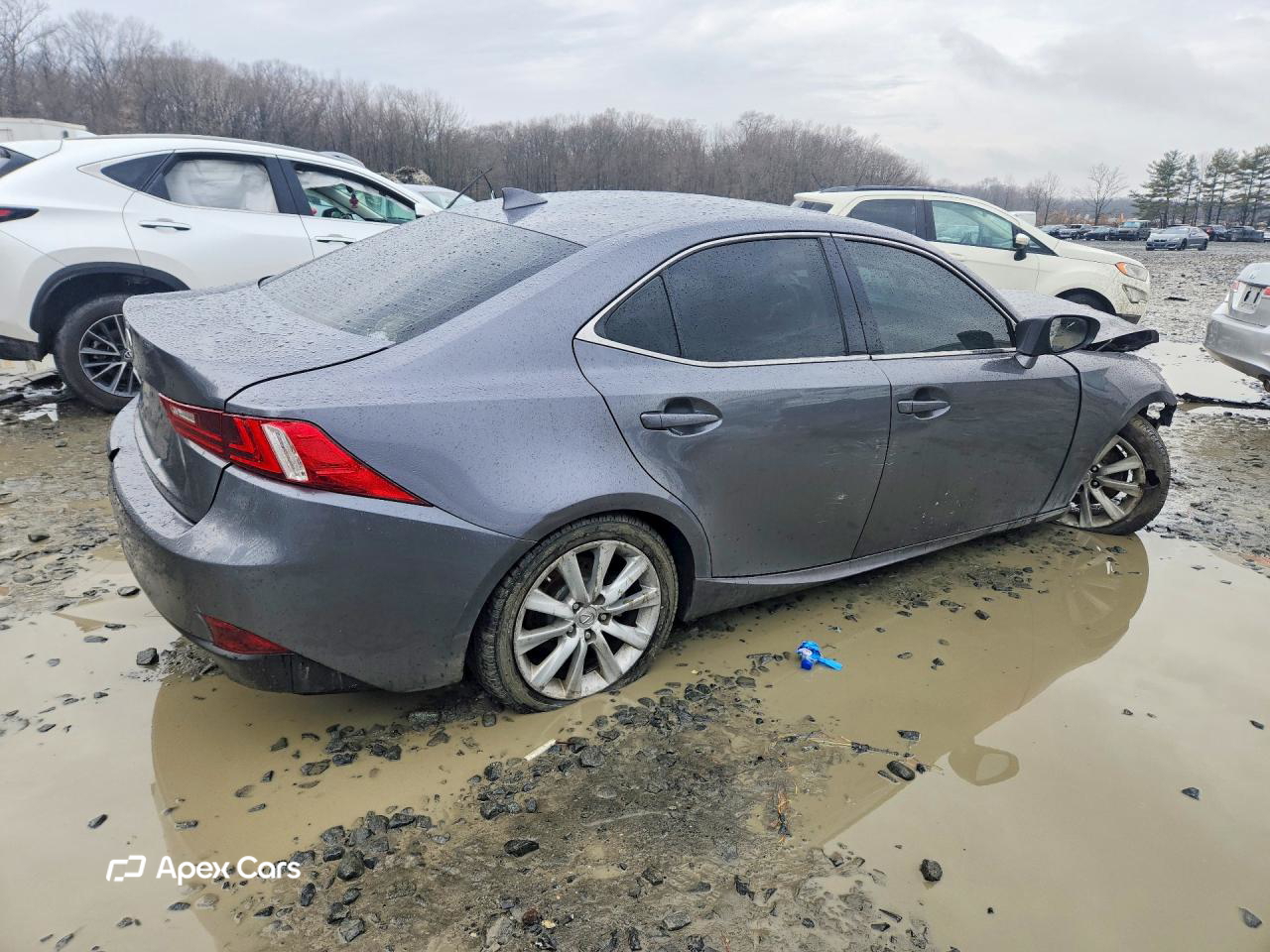 Lexus IS 2014